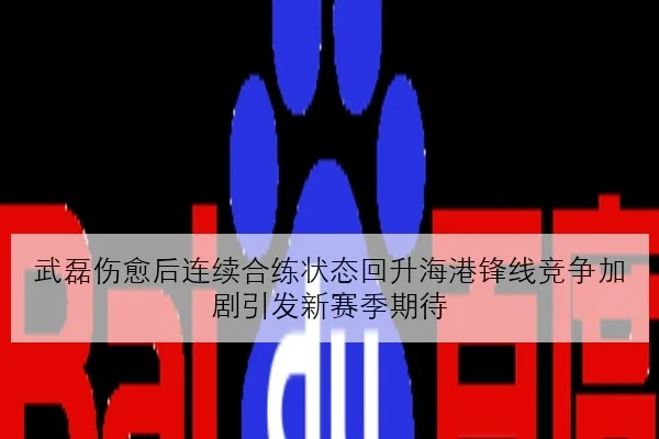 武磊伤愈后连续合练状态回升海港锋线竞争加剧引发新赛季期待